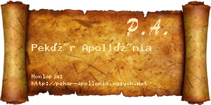 Pekár Apollónia névjegykártya